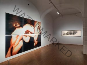 Ausstellungsfotografie Körper als Protest